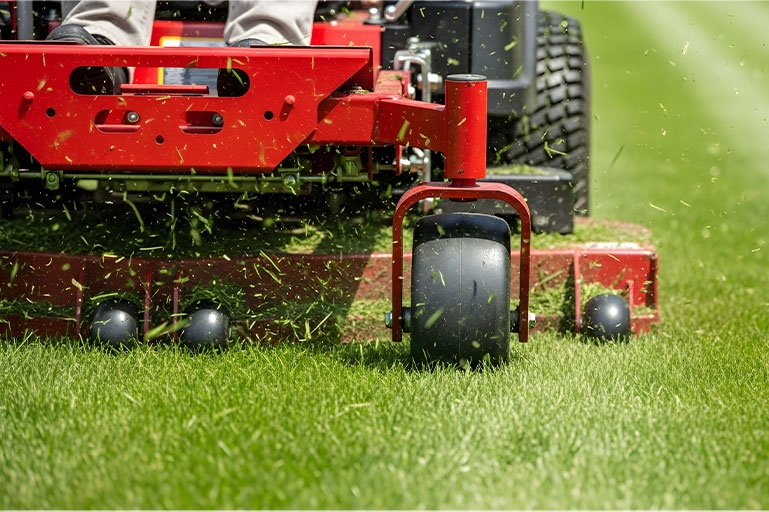 Residential Landscape Construction